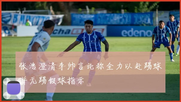 张浩澄清李帅言论称全力以赴踢球并无踢假球指示