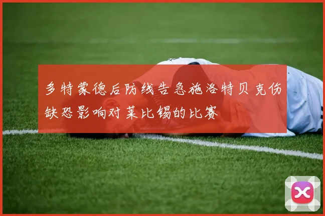 多特蒙德后防线告急施洛特贝克伤缺恐影响对莱比锡的比赛
